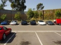 sunrise car show 009