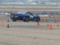 picking thru the cones